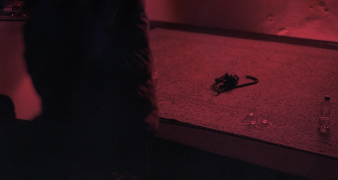 8 Border Collapse meets Shakhta, Karnola, Hranice